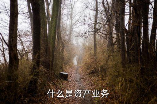 什么是大資產(chǎn)業(yè)務(wù)，商業(yè)銀行三大支柱業(yè)務(wù)是什么