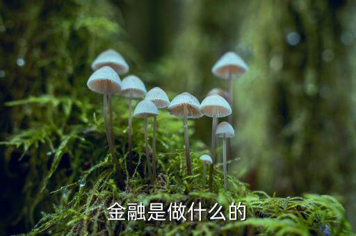 中國(guó)29金融是干什么的，金融是干什么的