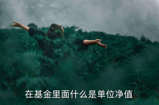什么是基金單位凈值，基金單位凈值是什么意思