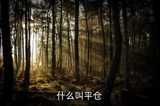 斬倉(cāng)是什么，什么叫平倉(cāng)