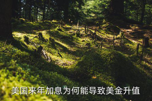 美聯儲加息為什么會使美元升值，美國來年加息為何能導致美金升值