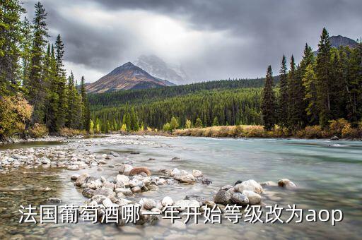 法國發(fā)生什么改革，法國葡萄酒哪一年開始等級改為aop