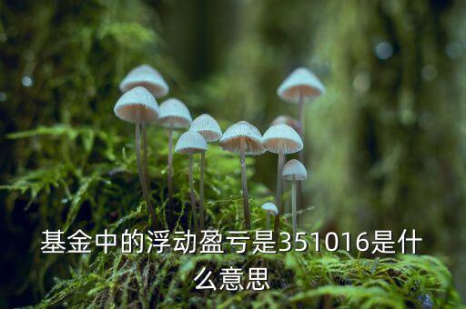 基金的浮動(dòng)盈虧是什么意思，基金中的浮動(dòng)盈虧是351016是什么意思
