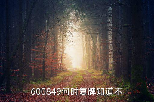 儀電b股什么時候復牌，600849何時復牌知道不