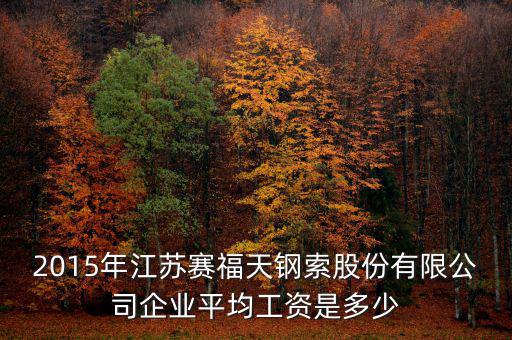 賽福天是什么公司，2015年江蘇賽福天鋼索股份有限公司企業(yè)平均工資是多少