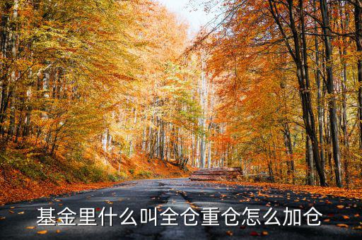 什么是基金加倉，基金里什么叫全倉重倉怎么加倉