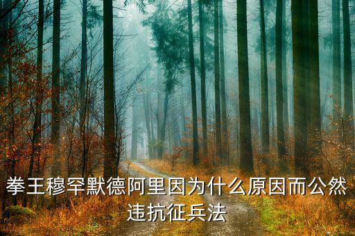 默罕默德阿里現(xiàn)在是在干什么，拳王穆罕默德阿里因?yàn)槭裁丛蚨贿`抗征兵法