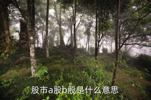 滬市a股是什么意思，什么是A股