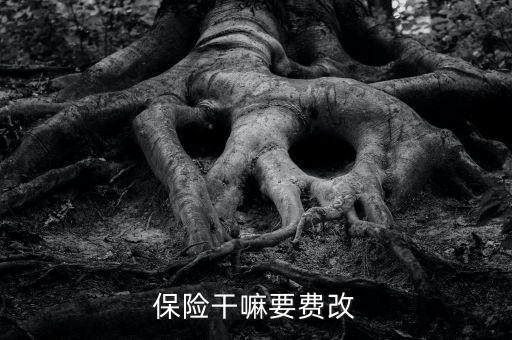 什么是費(fèi)改產(chǎn)品，移動營業(yè)廳不能由用戶老產(chǎn)品轉(zhuǎn)換成當(dāng)前產(chǎn)品什么意思
