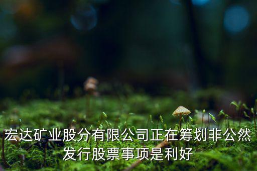 宏達礦業(yè)什么重大事項，請教600687停盤說是因為核實公司相關(guān)重大事項這個重大事項有知