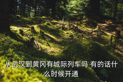 武漢至黃岡城際鐵路什么時(shí)候通車，從武漢到黃岡有城際列車嗎 有的話什么時(shí)候開通