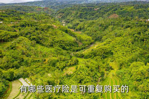 有哪些醫(yī)療險(xiǎn)是可重復(fù)購(gòu)買(mǎi)的