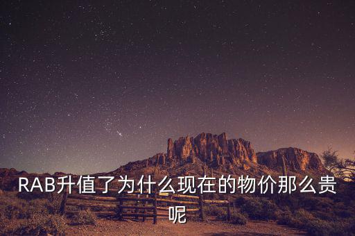 RAB升值了為什么現在的物價那么貴呢