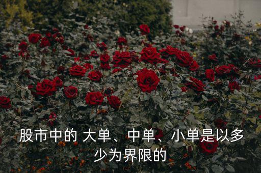  股市中的 大單、中單、小單是以多少為界限的