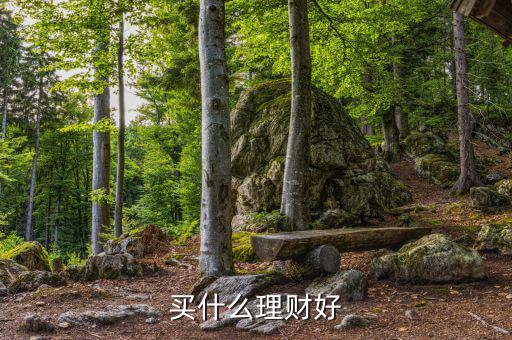 買(mǎi)什么理財(cái)產(chǎn)品，買(mǎi)什么理財(cái)好