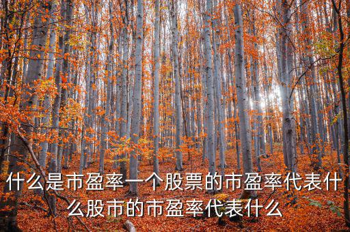 平均市盈率說明什么，什么是市盈率一個股票的市盈率代表什么股市的市盈率代表什么