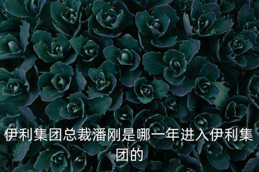 潘剛什么背景，潘剛是哪里人啊