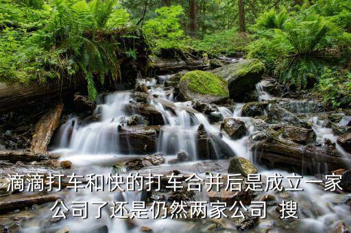 滴滴快的合并后叫什么，滴滴打車和快的打車合并后是成立一家公司了還是仍然兩家公司  搜