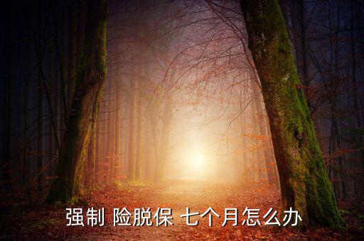 強(qiáng)制險(xiǎn)脫保七個月怎么辦,強(qiáng)制保險(xiǎn)不打折交強(qiáng)險(xiǎn)險(xiǎn)脫保修6個月