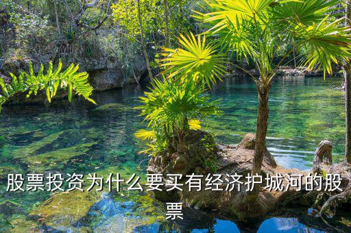 什么是股票投資的護(hù)城河理論，從基本面看證券投資的護(hù)城河是指哪幾類情況
