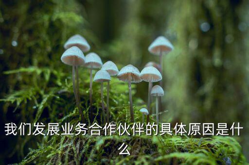 為什么要發(fā)展同業(yè)業(yè)務，匯付天下之前說要大力發(fā)展同業(yè)業(yè)務同業(yè)業(yè)務指的是甚么