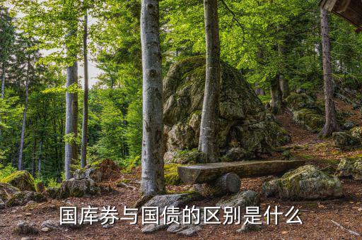 國庫券與國債的區(qū)別是什么，國庫券與國債的區(qū)別是什么