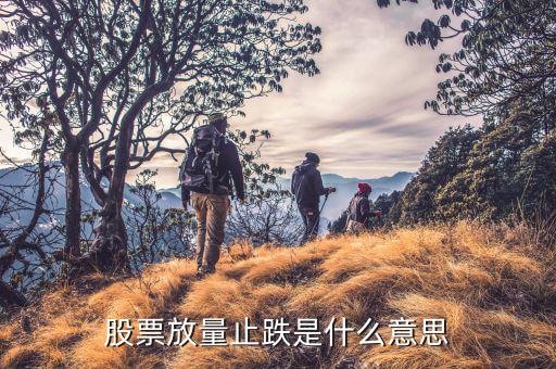 放量跌停說(shuō)明什么，量比暴漲股票跌停說(shuō)明什么