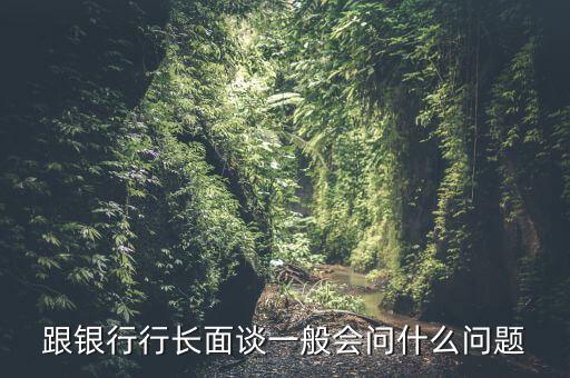 跟銀行行長(zhǎng)面談一般會(huì)問什么問題