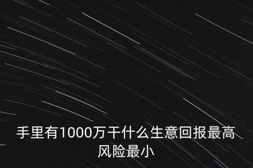 1000萬投資什么生意，手里有1000萬干什么生意回報(bào)最高風(fēng)險(xiǎn)最小