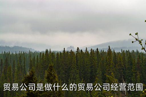 民百集團經營什么，貿易公司是做什么的貿易公司經營范圍