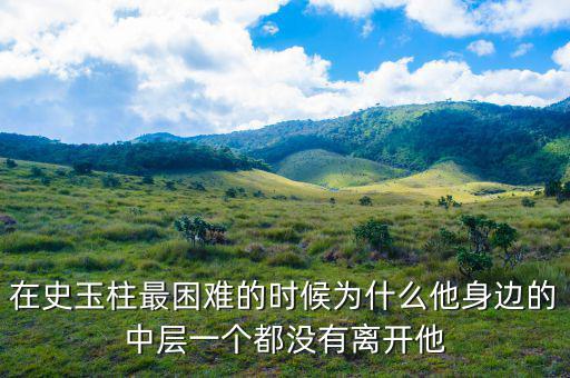 史玉柱為什么辭職，巨人史玉柱破產(chǎn)的原因是什么
