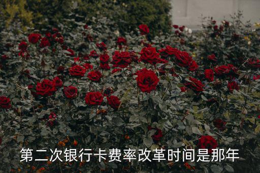 各銀行手續(xù)費改革什么時候開始，第二次銀行卡費率改革時間是那年