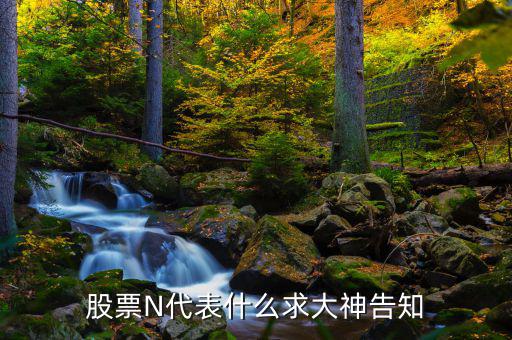 股市中n是什么意思，一些股票中前面的N是什么意思