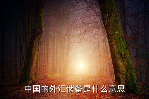 中國外匯儲備包括什么，我國外匯儲備