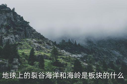 誠益通屬于什么板塊，地球上的裂谷海洋和海嶺是板塊的什么