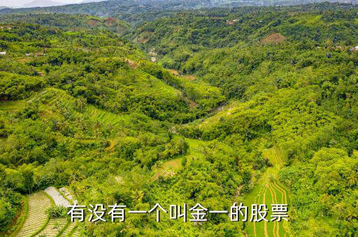 金一文化為什么停牌，金一文化什么時候復(fù)牌