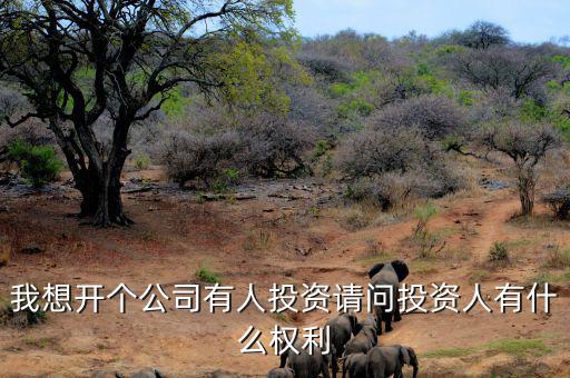 投資人最核心的優(yōu)先權(quán)是什么，投資人最關(guān)心哪三大核心問題