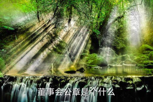 什么是董事會印章，完美國際魔方董事會印章有什么用
