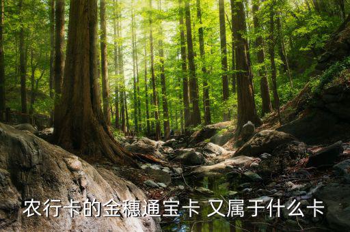 農(nóng)行叫號(hào)Q字頭是什么卡，農(nóng)行卡叫什么卡