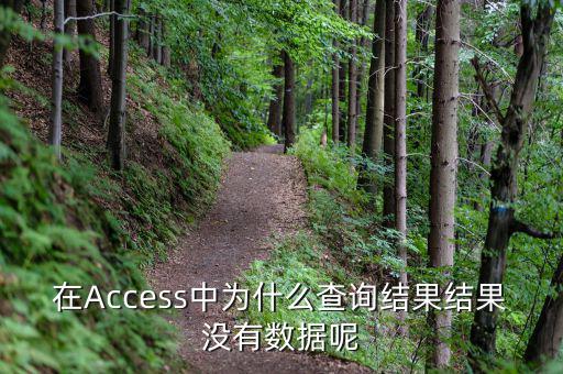 832494為什么沒有數(shù)據(jù)，在Access中為什么查詢結(jié)果結(jié)果沒有數(shù)據(jù)呢