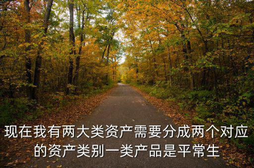 現(xiàn)在我有兩大類資產需要分成兩個對應的資產類別一類產品是平常生