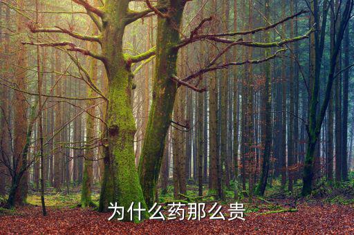 為什么藥價那么貴，醫(yī)藥費為什么那么貴
