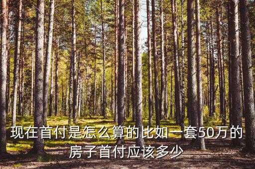 首付貸是什么，首付32萬免息3年是什么意思