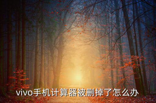 vivo手機(jī)計算器被刪掉了怎么辦