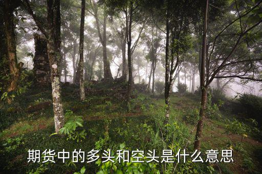 離岸空頭是什么，期貨中的多頭和空頭是什么意思
