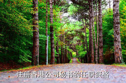 特許秘書是什么，新加坡商業(yè)秘書職責是什么