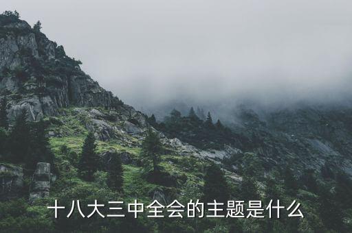 中全會(huì)講什么，七屆二中全會(huì)的主要內(nèi)容是什么啊