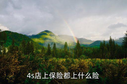 4s店買車都保什么險，誰能告訴我在4s店買的四大險都包括哪些