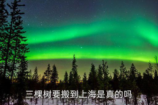 三棵樹(shù)什么時(shí)間上市，三棵樹(shù)要搬到上海是真的嗎