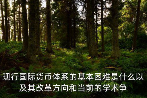 現(xiàn)行國際貨幣體系的基本困難是什么以及其改革方向和當(dāng)前的學(xué)術(shù)爭(zhēng)